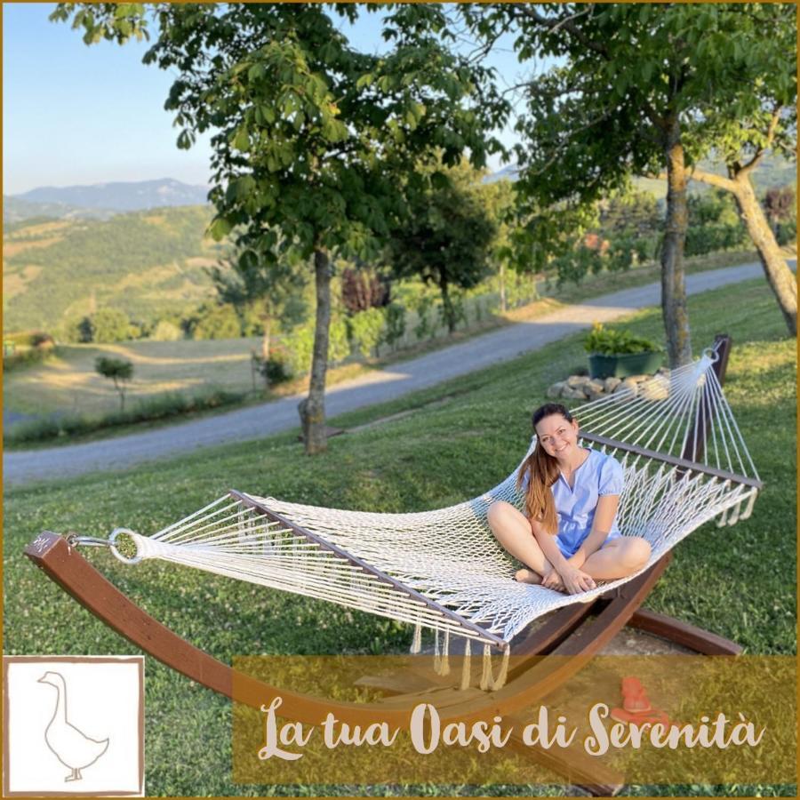 L'Oca Giuliva Relais Bed & Breakfast Gaggio Montano Exterior photo